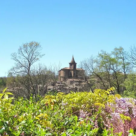 Montecasciano - Rosa *